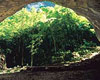 Serra Sant'Abbondio, l'ampio arco di ingresso di una grotta nei pressi del paese 